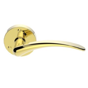 DL66 Victorian Wing Round Rose Door Handle Polished Brass