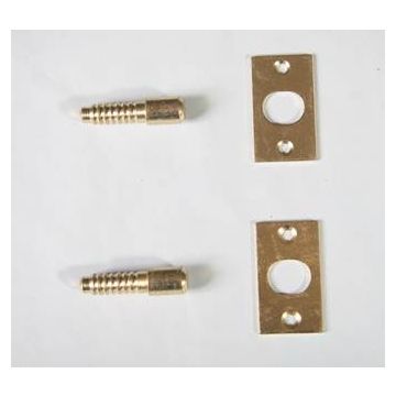 8606 Electro Brass Hinge Bolts